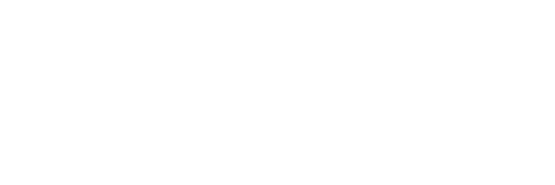 Flexera Snow logo